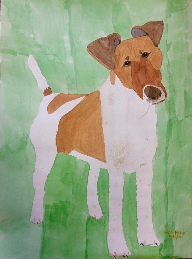 Henry Chapman Curious Fox Terrier Smooth