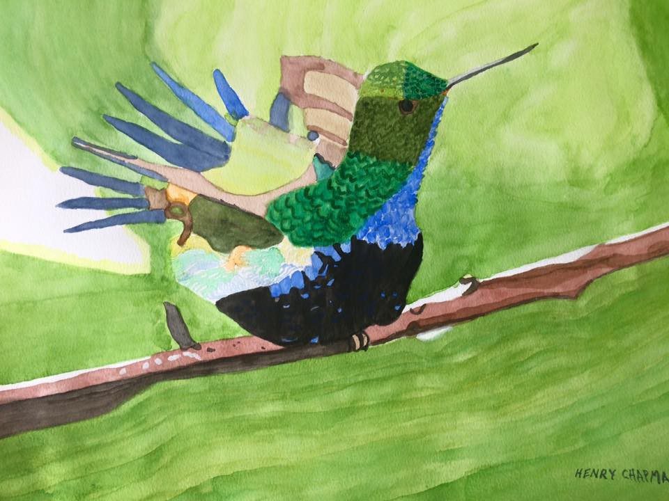 Henry Chapman The Hummingbird