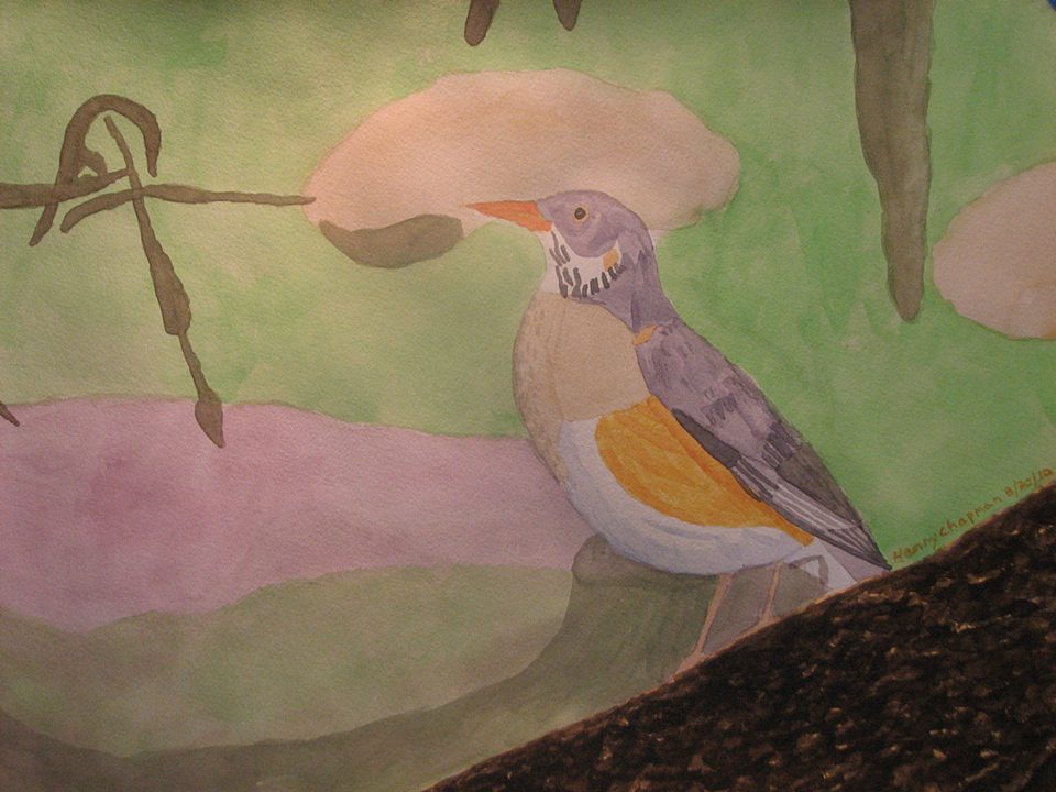 Henry Chapman Thrush